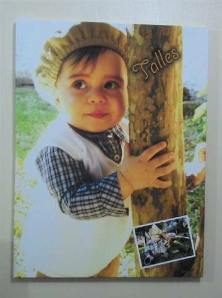 Telas – Quadros – Fotos - #6