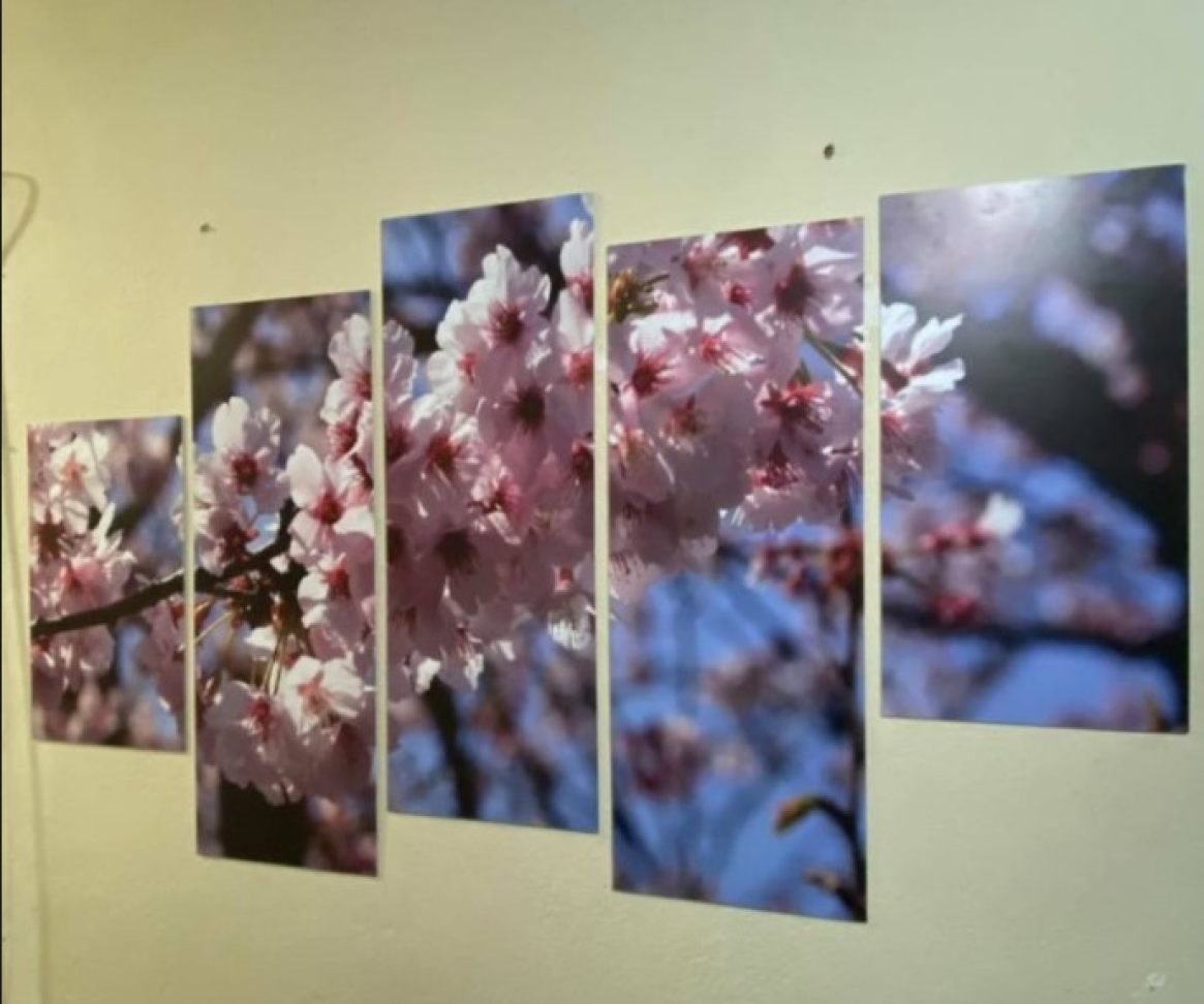 Chapa em PS / PVC - #10