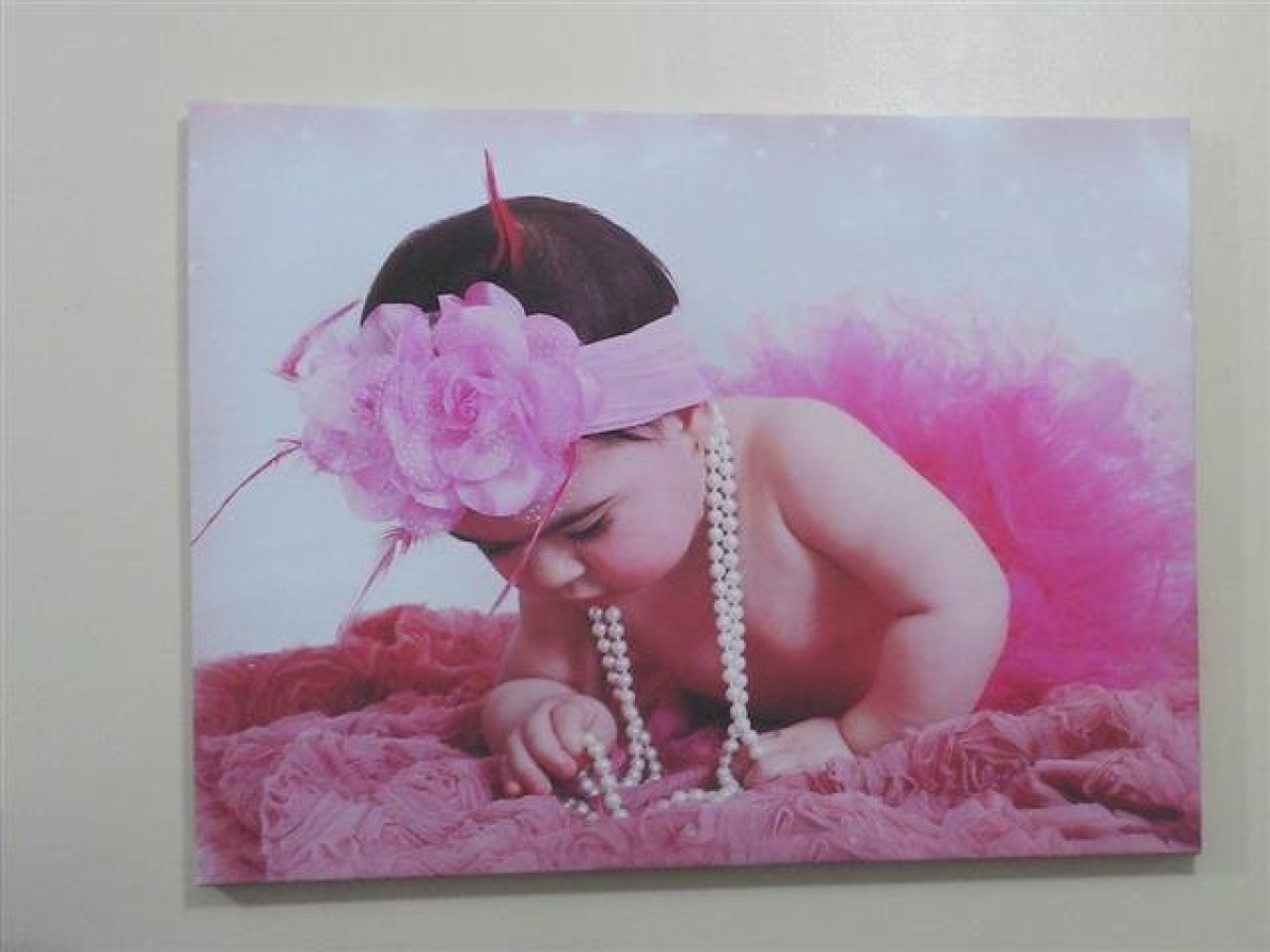 Telas – Quadros – Fotos - #2