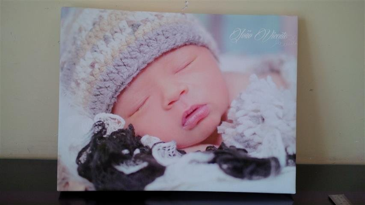 Telas – Quadros – Fotos - #16