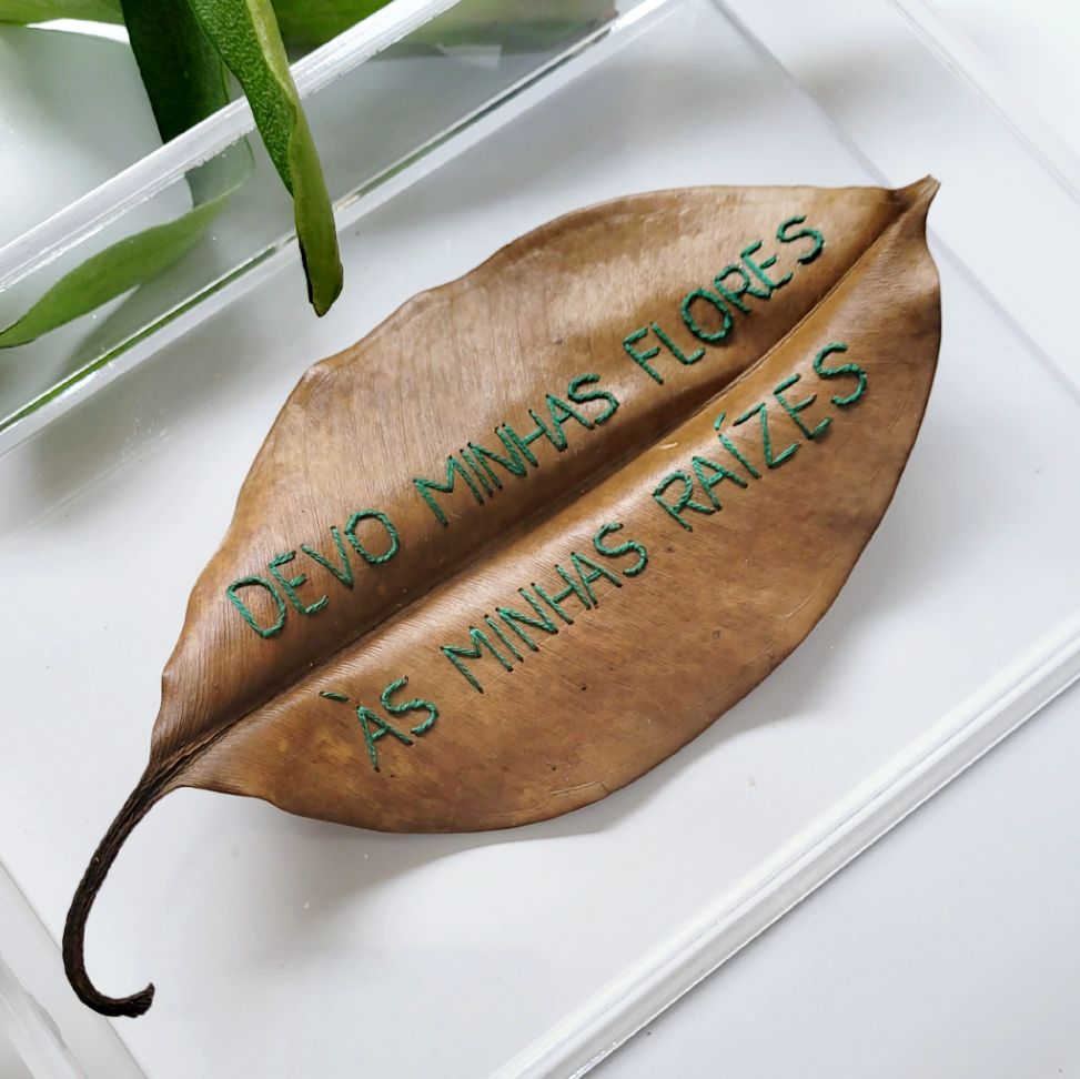 Folha Bordada Frase Devo Minhas Flores Às Minhas Raízes Caixa Acrílica