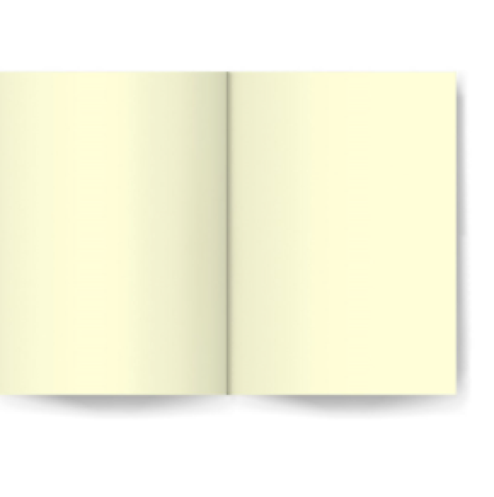 Moleskine - sem pauta - #2