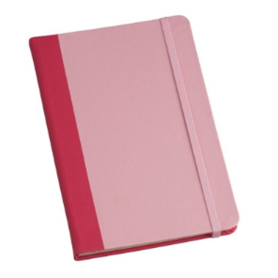 Moleskine - com pauta - #5