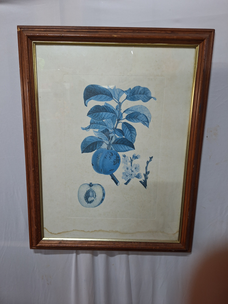 Quadro