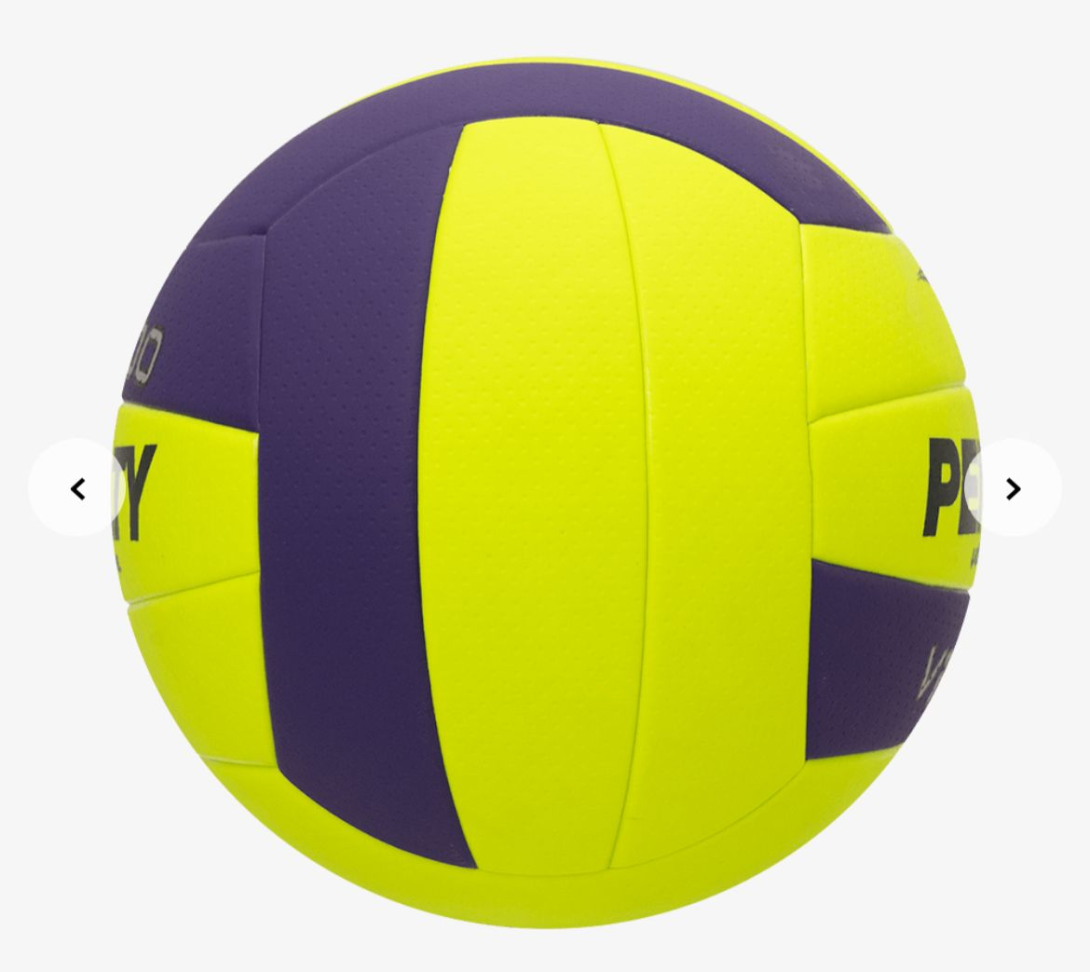 Bola vôlei oficial