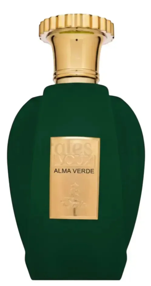 Perfume Paris Corner Emir Alma Verde EDP - 100ml - #6