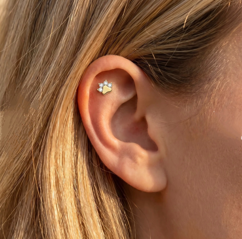 Piercing Titânio patinha