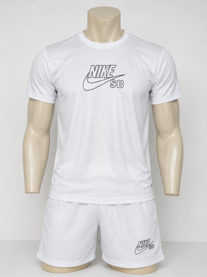 KIT - DRI-FIT CAMISA E SHORT R$35,00