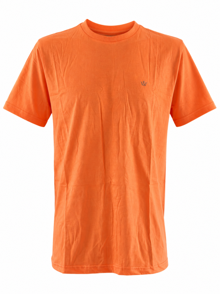 LEVE 3 Por R$90,00 T SHIRT BÁSICA W LIFE OFERTA RELÂMPAGO - #9