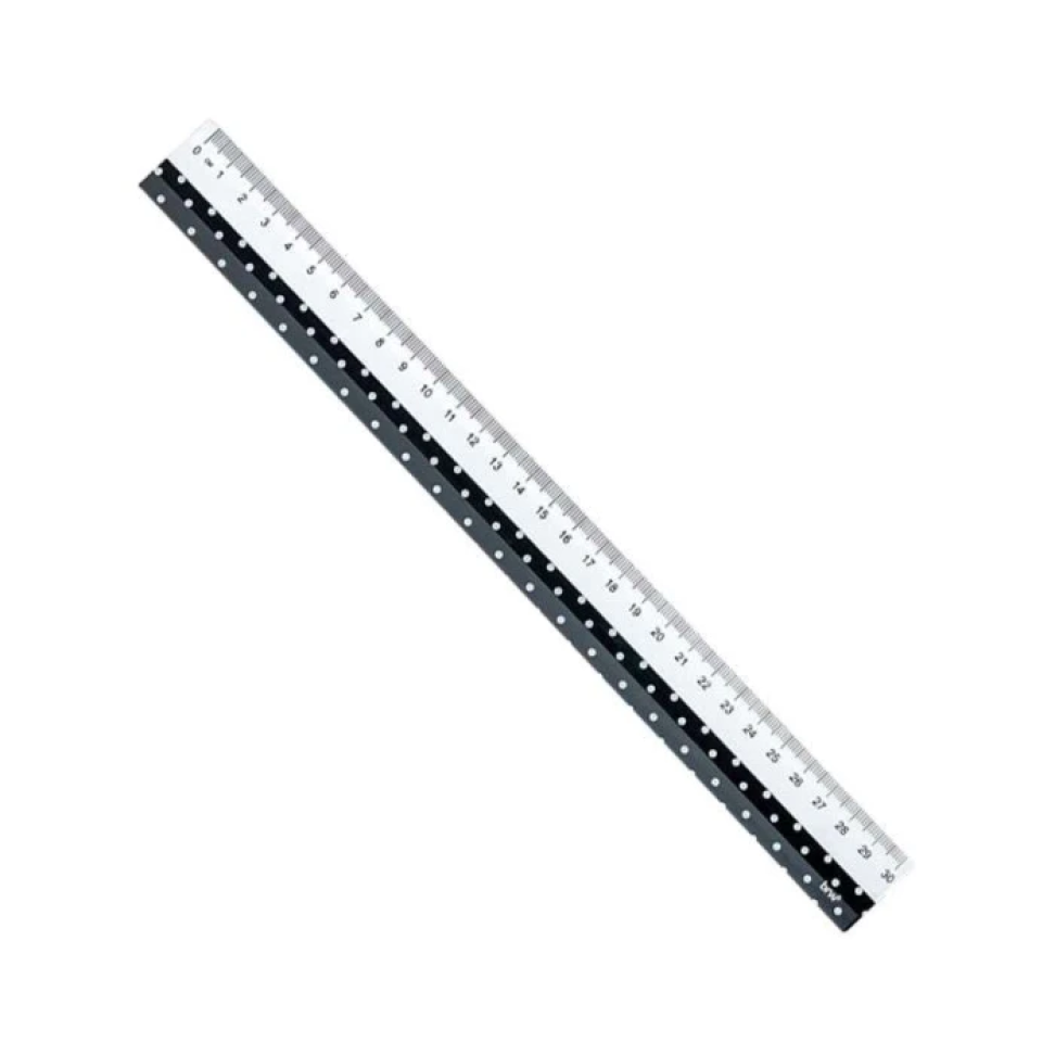 Régua plástica 30cm decorada sortidas BRW