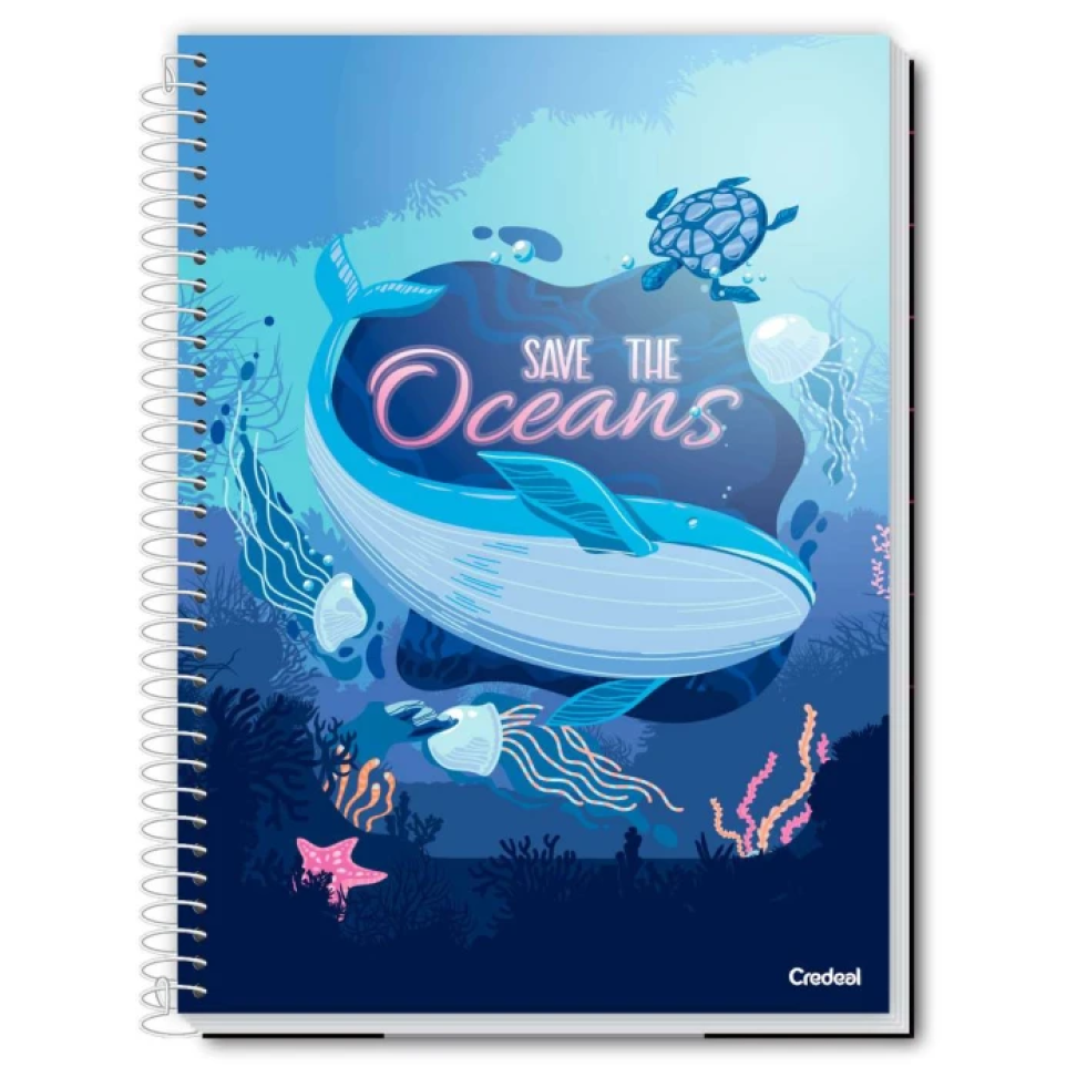 Caderno capa dura 01x01 80 folhas e 10x01 150 folhas feminino My collection Credeal
