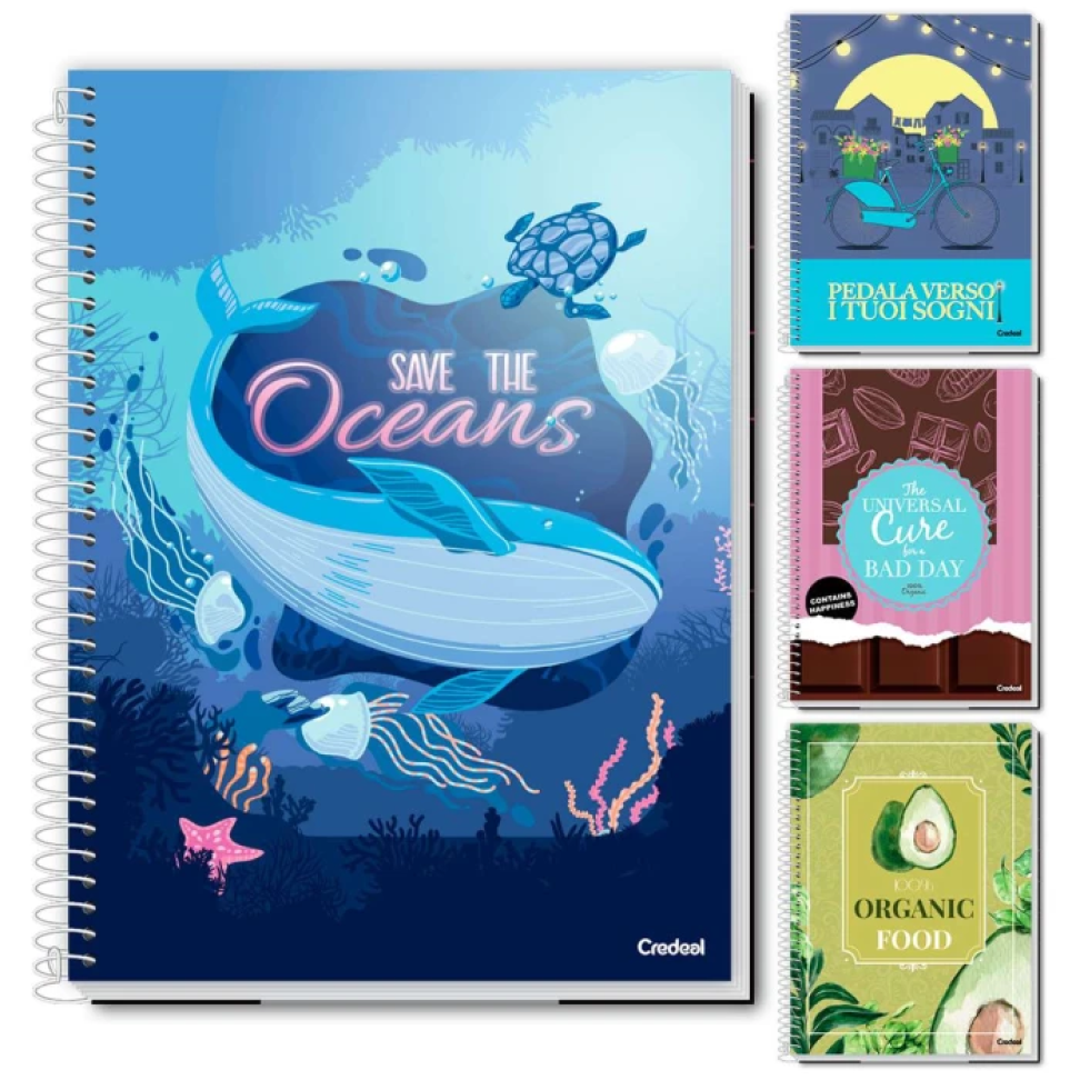 Caderno capa dura 01x01 80 folhas e 10x01 150 folhas feminino My collection Credeal