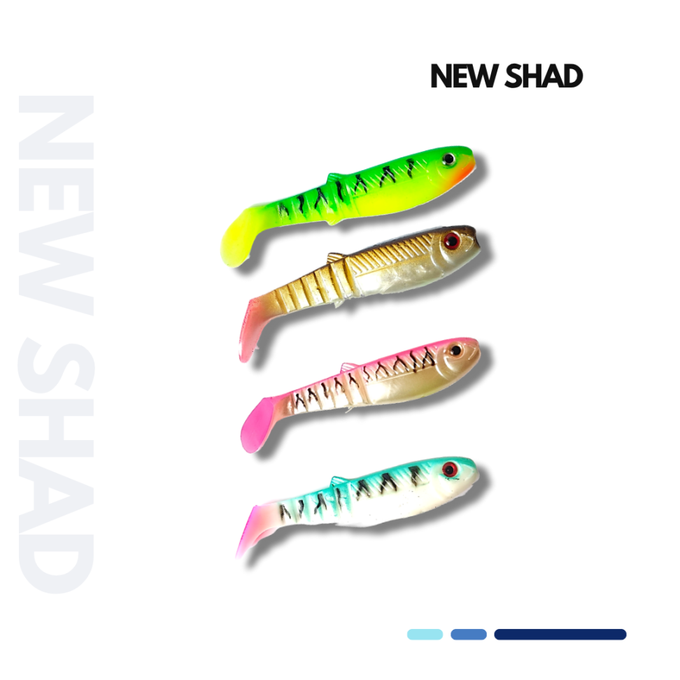 NEW SHAD