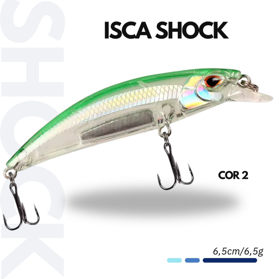 ISCA SHOCK
