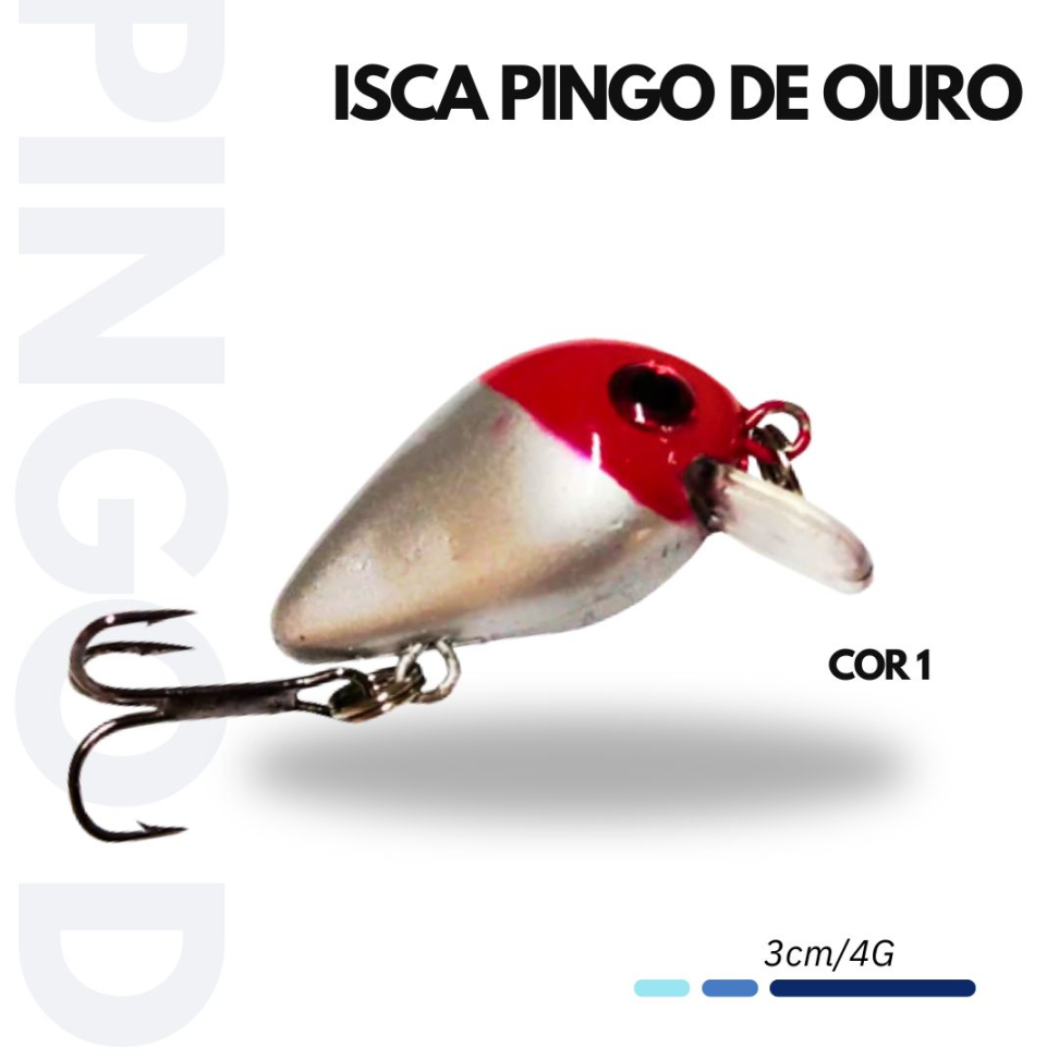 ISCA PINGO DE OURO
