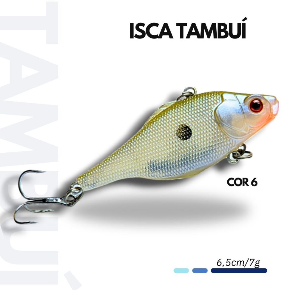 ISCA TAMBUÍ - #6