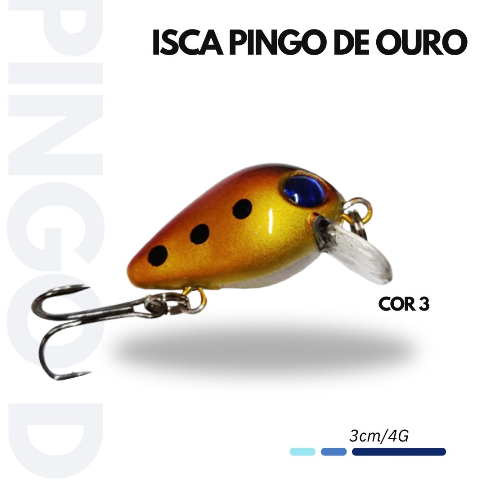 ISCA PINGO DE OURO - #3