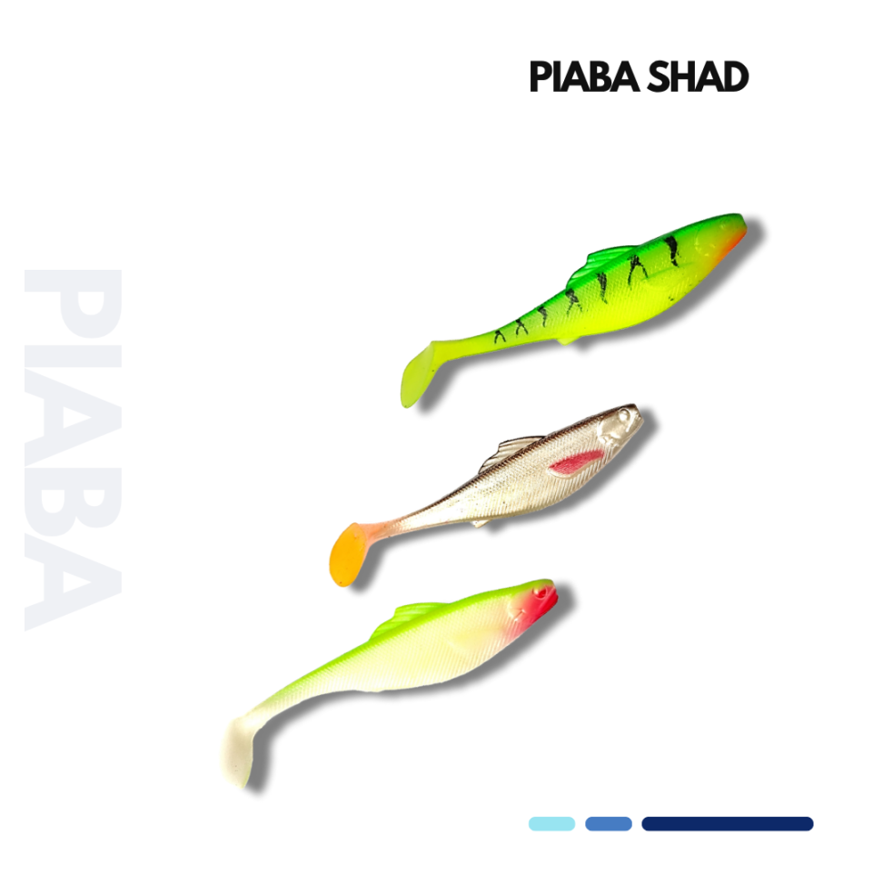 PIABA SHAD