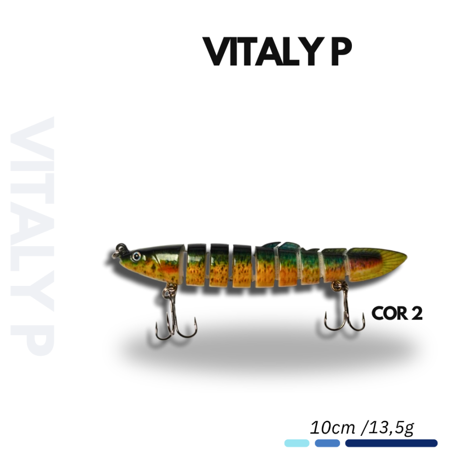 ISCA VITALY P