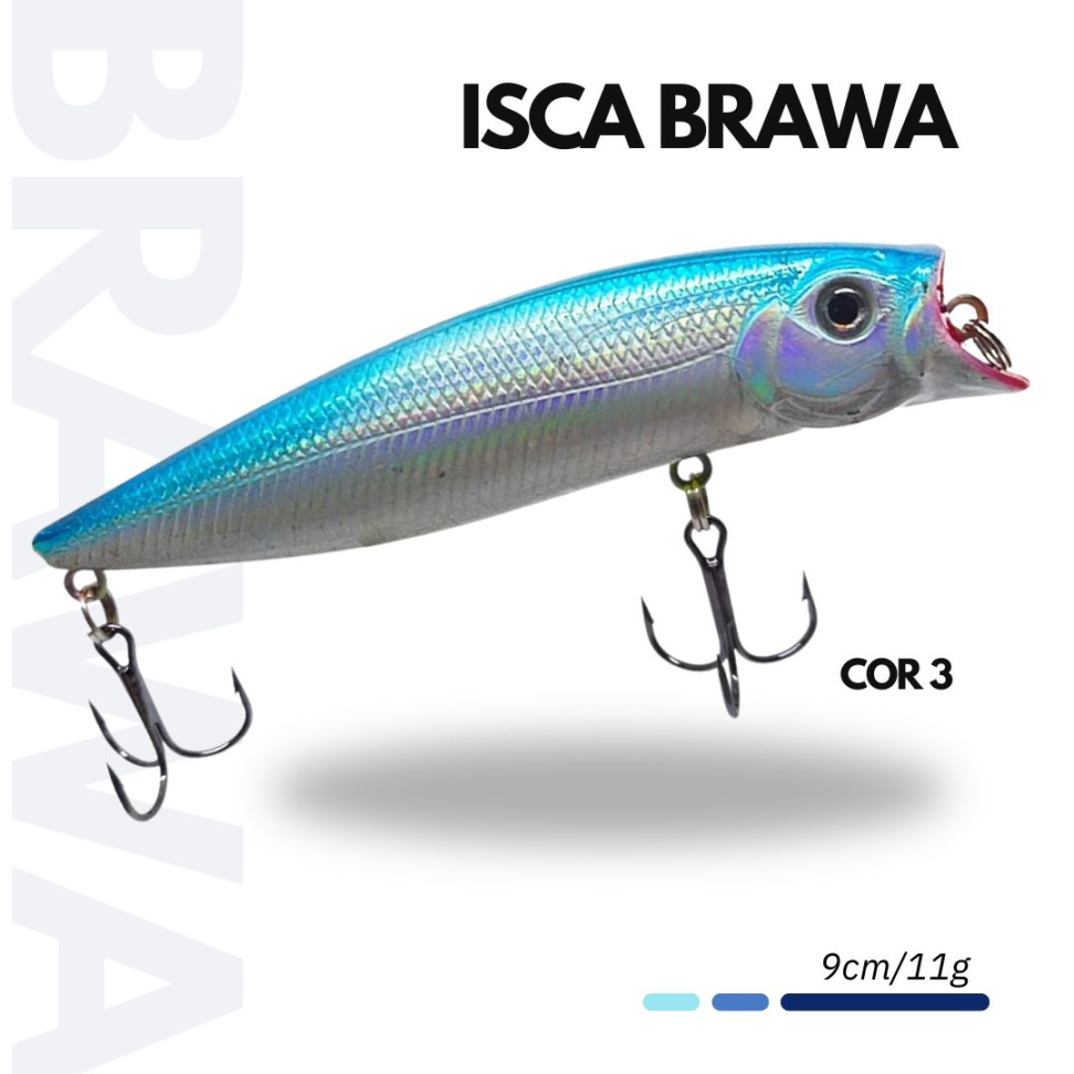 ISCA BRAWA - #3
