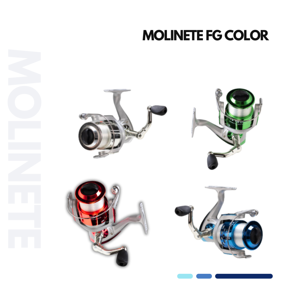 MOLINETE FG COLOR