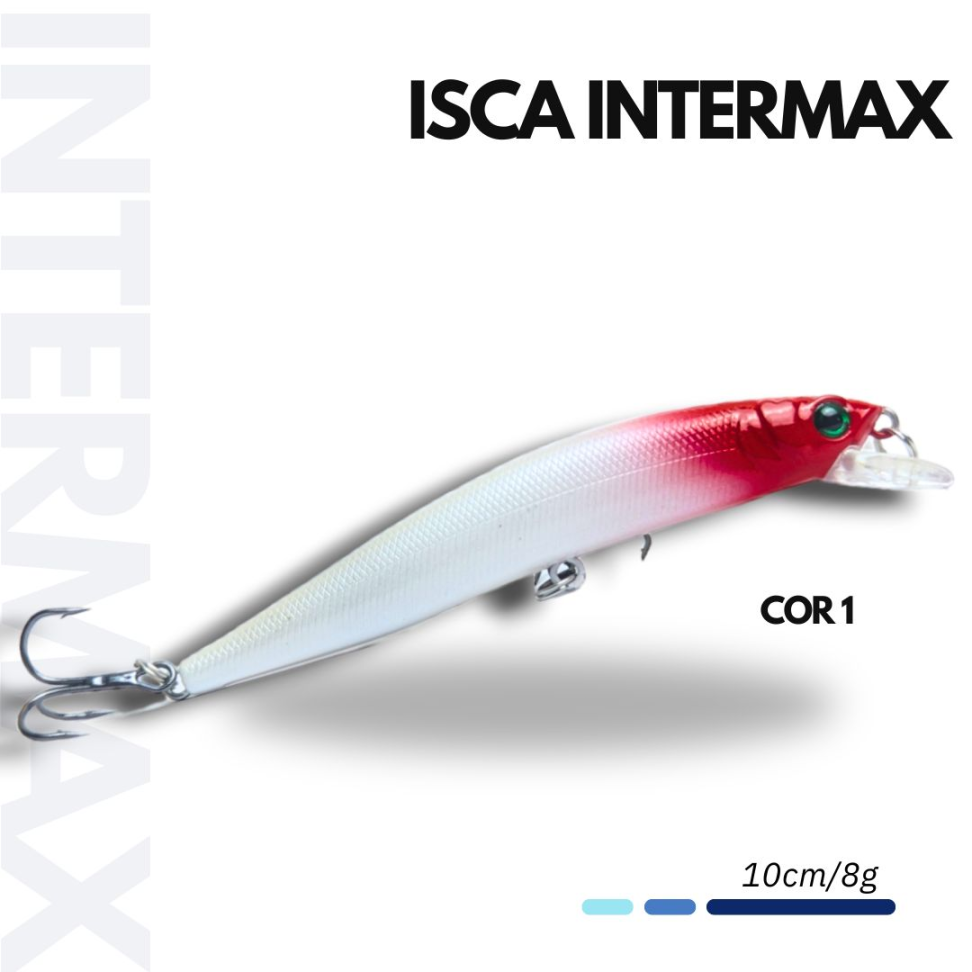 ISCA INTERMAX