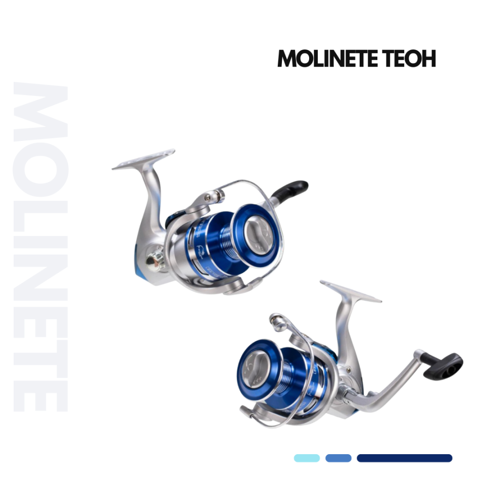 MOLINETE TEOH