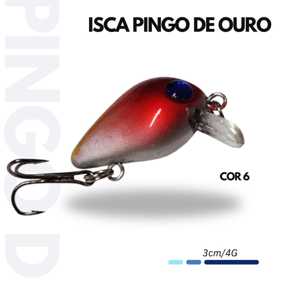 ISCA PINGO DE OURO - #6