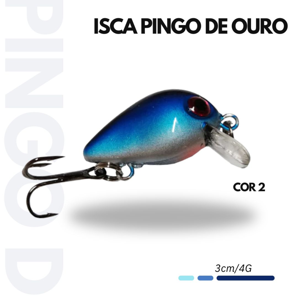 ISCA PINGO DE OURO
