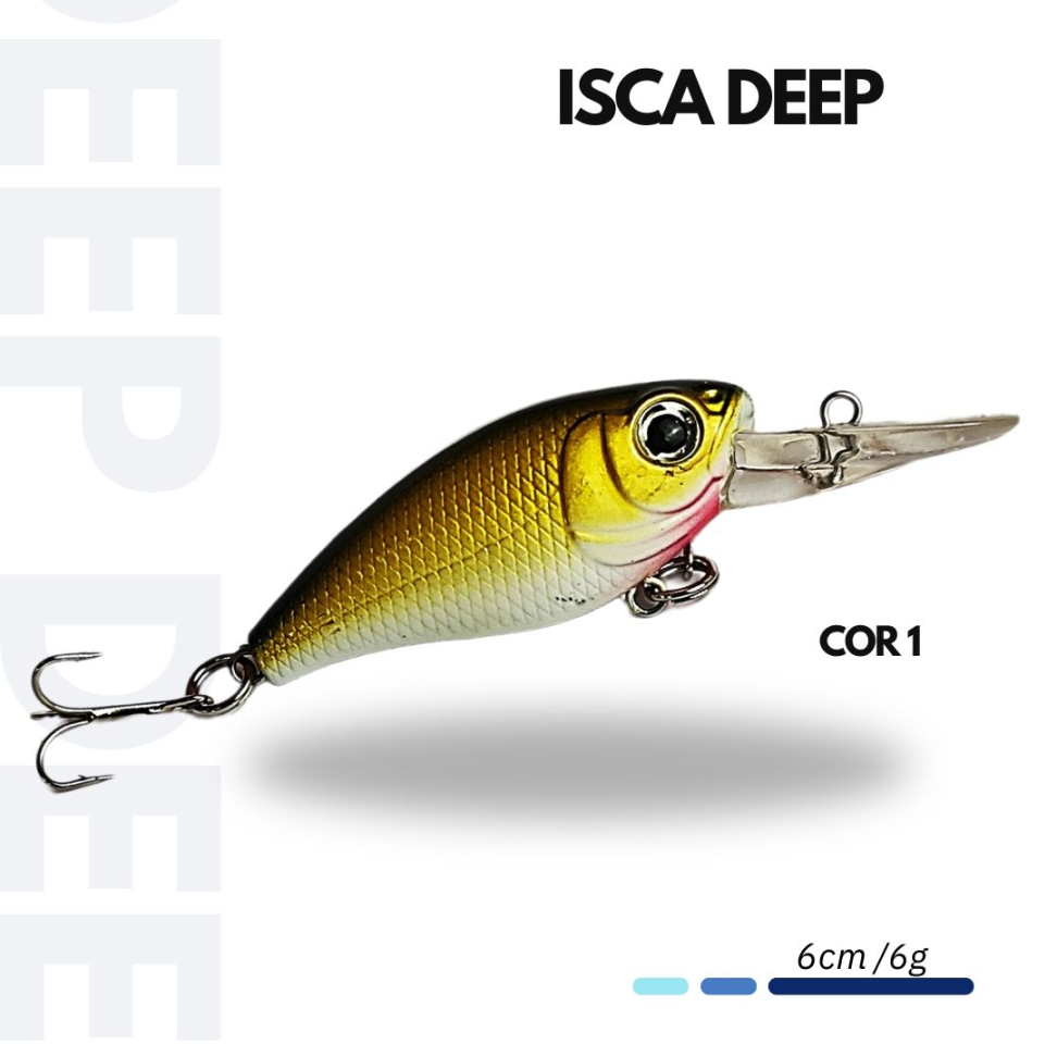 ISCA DEEP