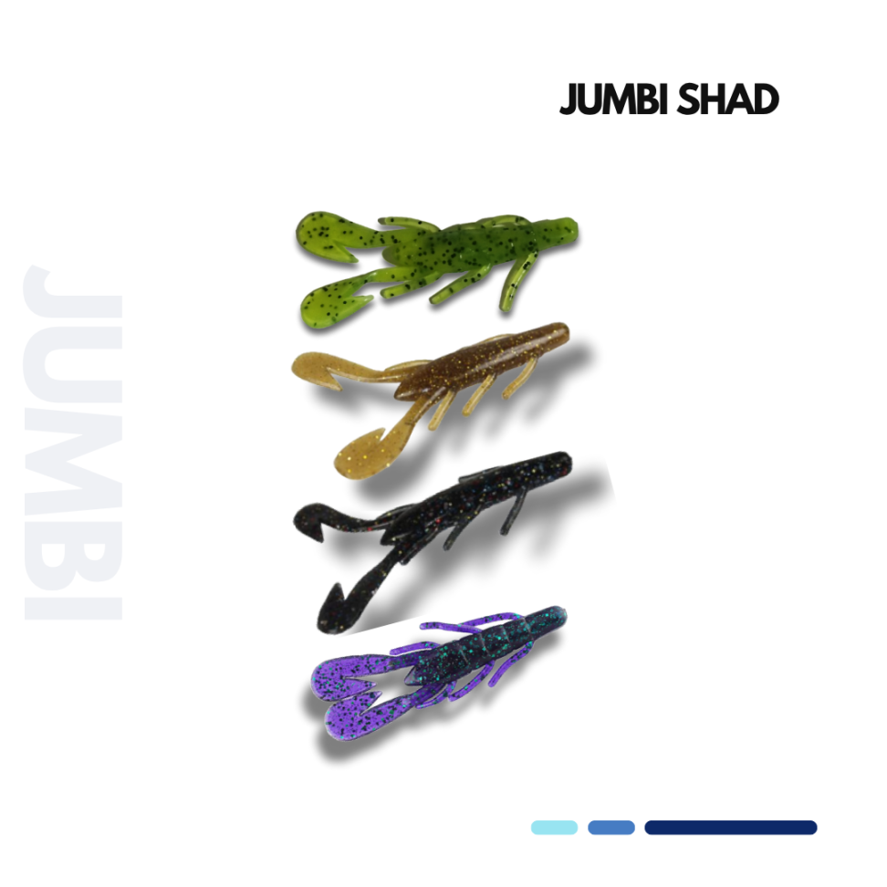 JUMBI SHAD