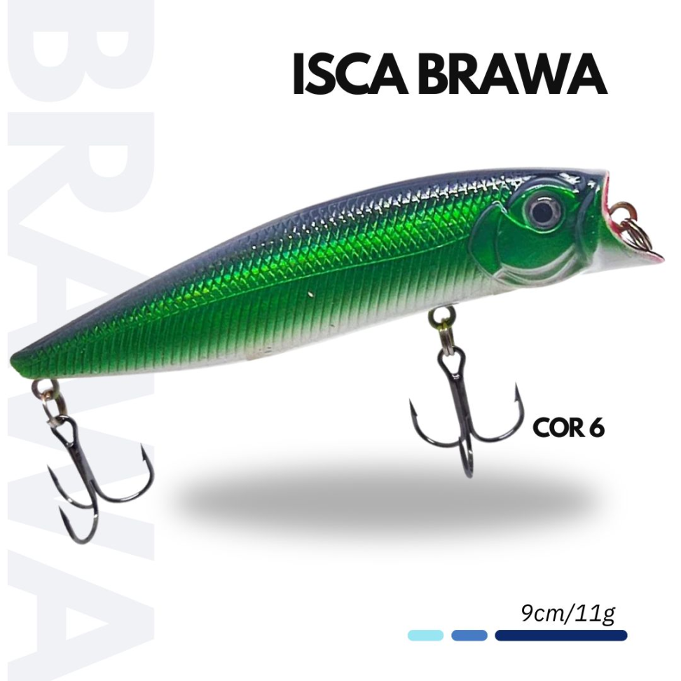 ISCA BRAWA - #6