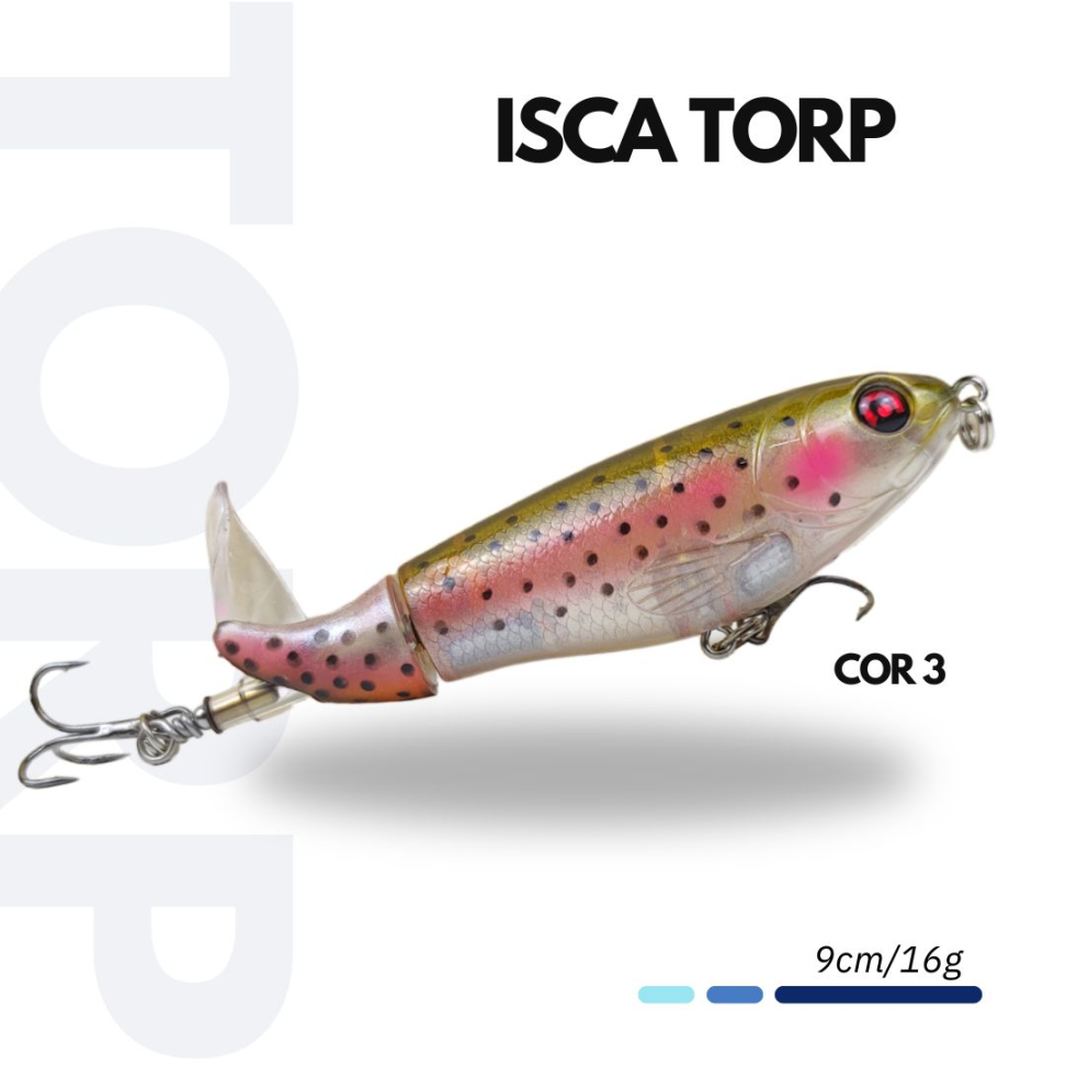 ISCA TORP - #3