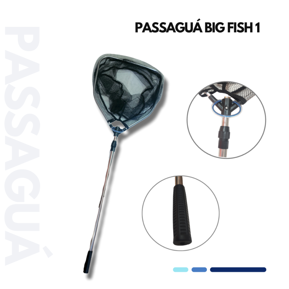 PASSAGUÁ BIG FISH 1