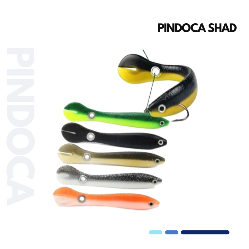 PINDOCA SHAD