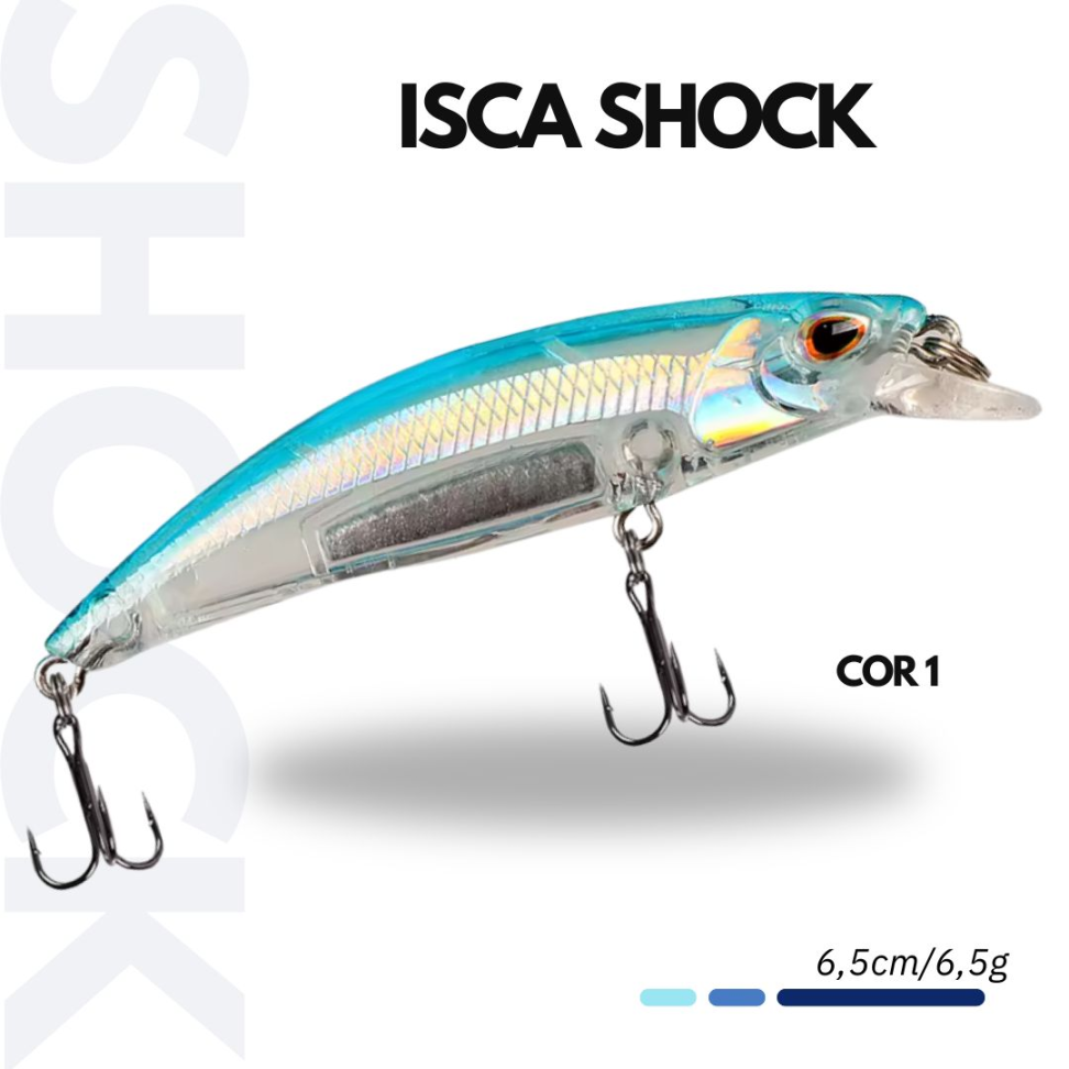 ISCA SHOCK