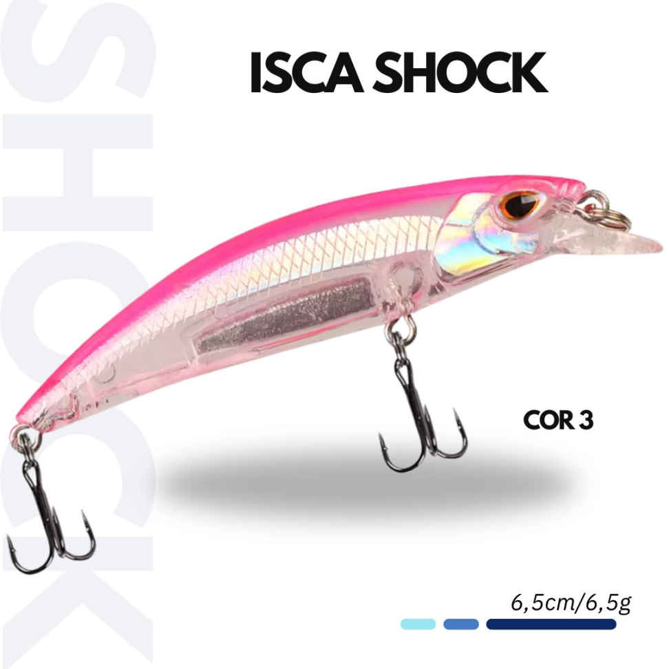 ISCA SHOCK - #3