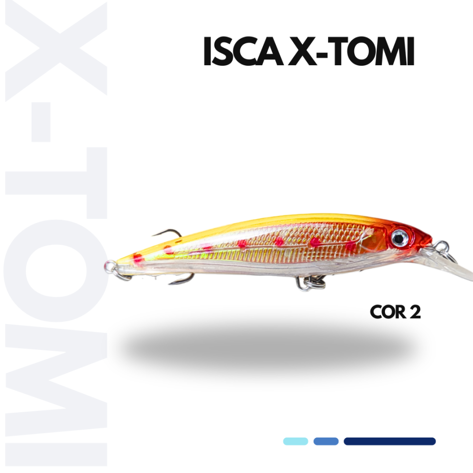 ISCA X-TOMI