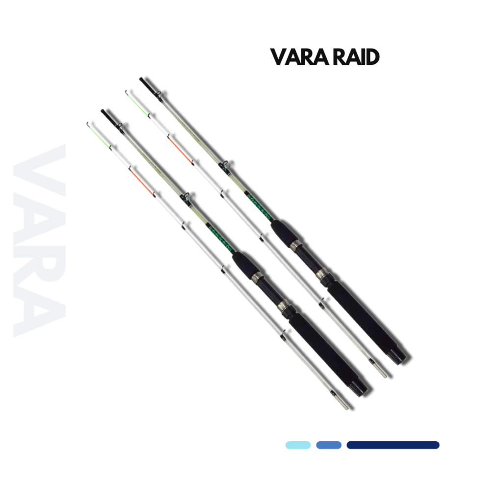 VARA RAID