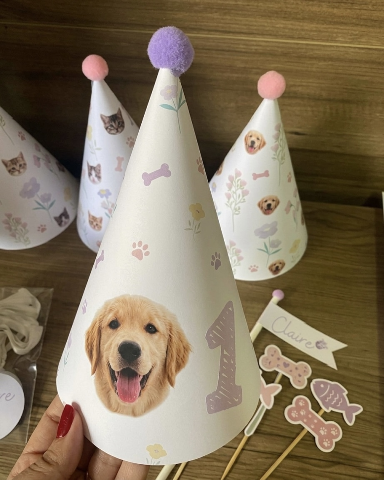Chapéu de aniversário (ARTE PERSONALIZÁVEL)