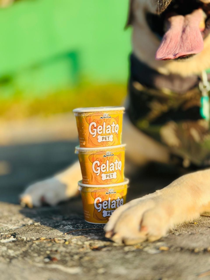 Gelato Pet