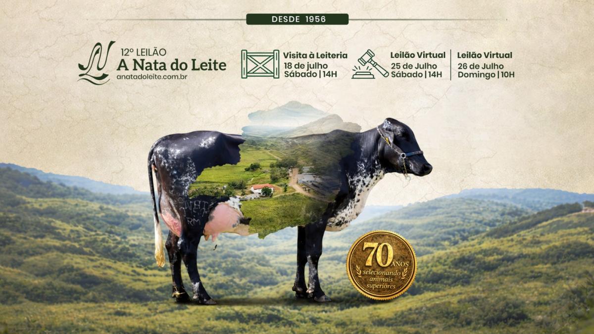 NOVILHA - A NATA FIV DOKA VI BRASS