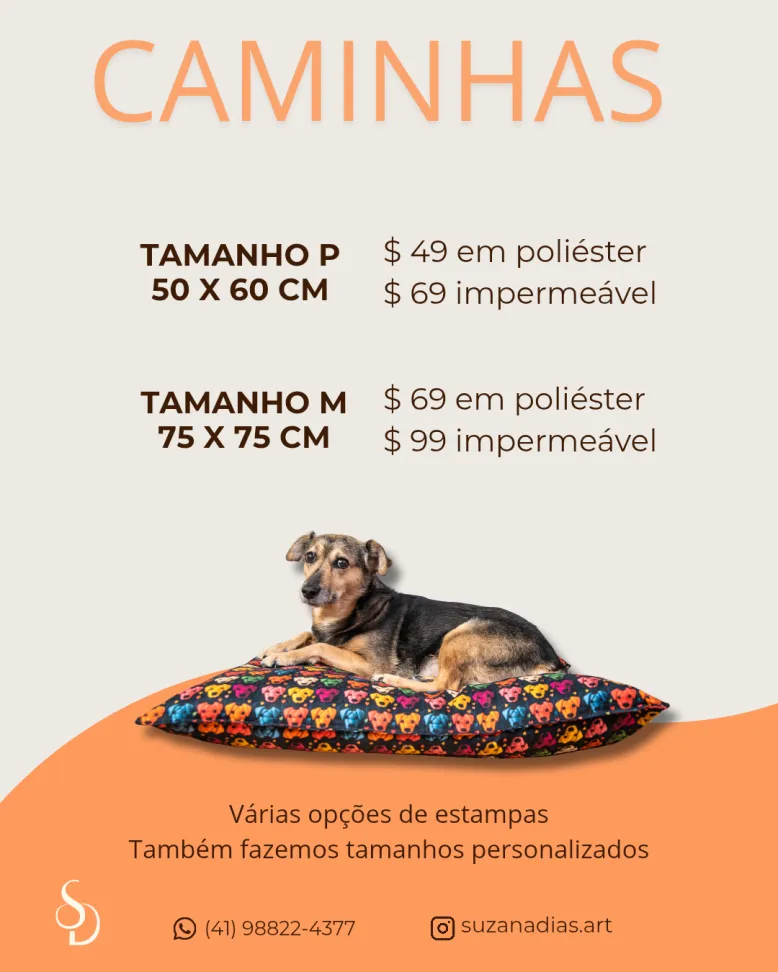 Caminha sustentável - #3
