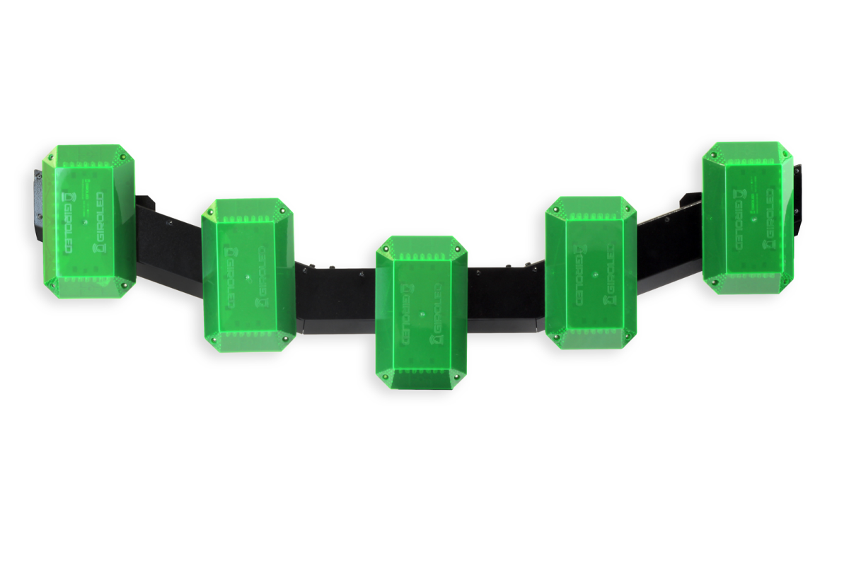 Giroflex Arco Asa 12v verde - #3