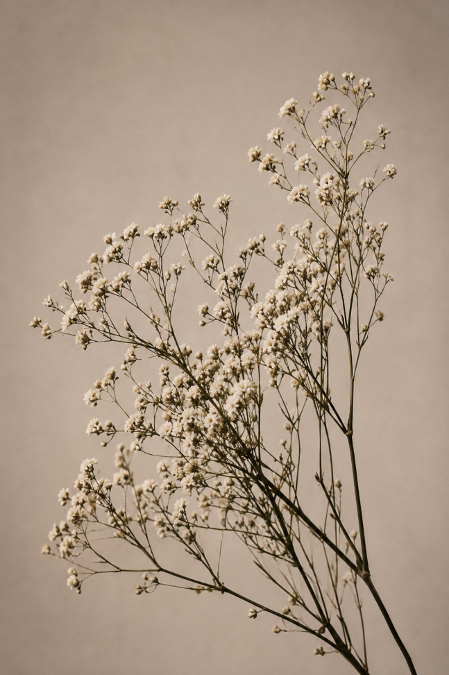 TRIO FLORAL OLIVEIRA