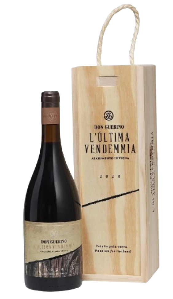 DON GUERINO L'ULTIMA VENDEMMIA APASSIMENTO IN VIGNA TEROLDEGO 750ML