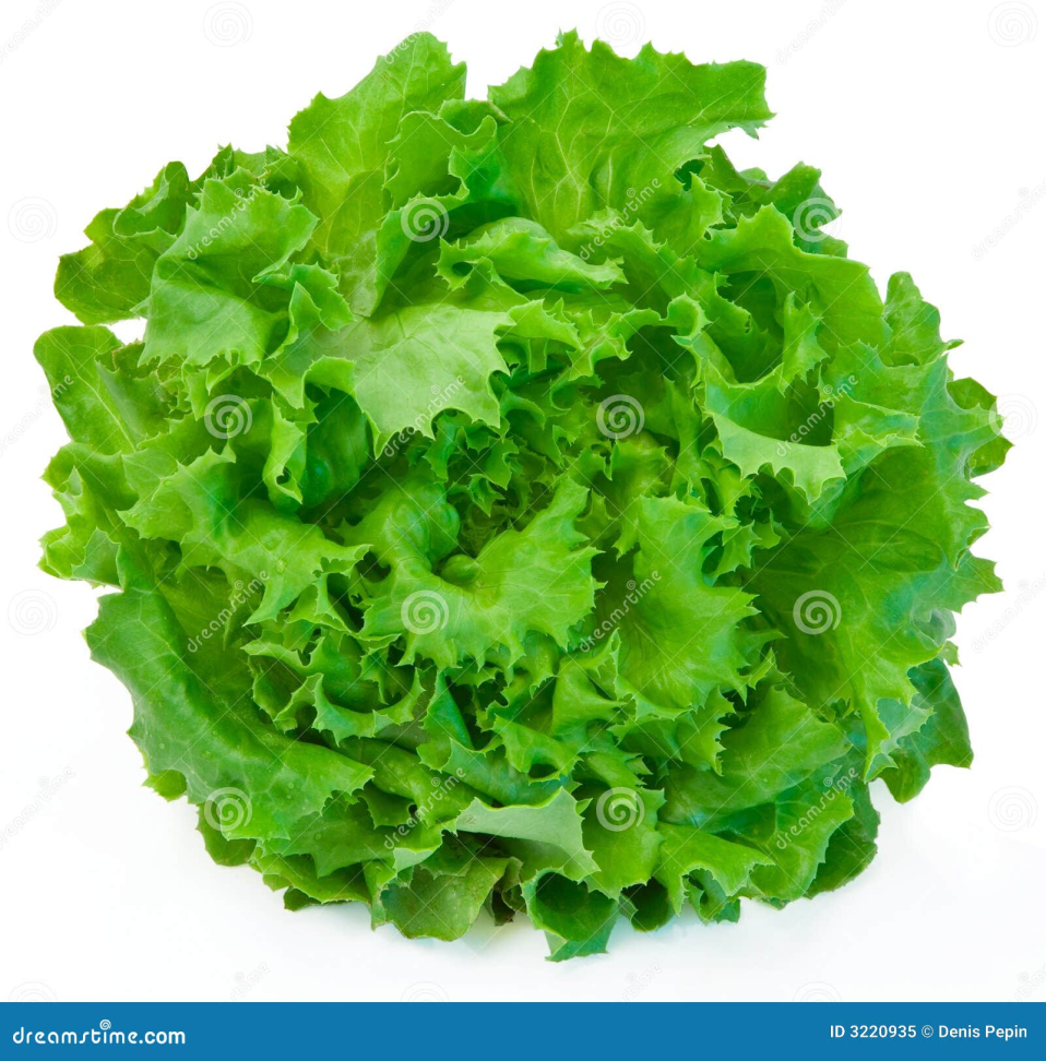 🥬 Alface Crespa Fresca