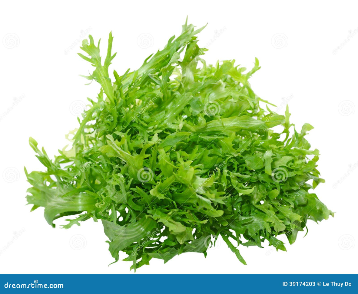 🥬 Escarola fresca