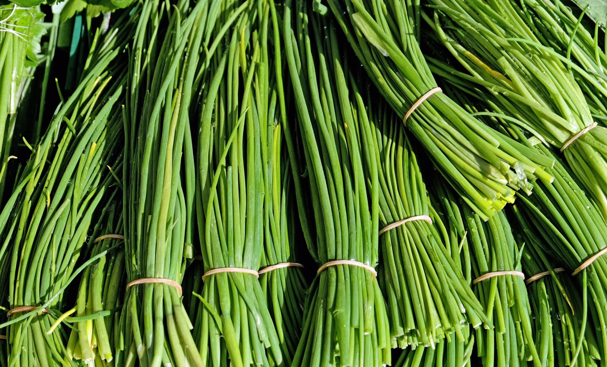 🌿 Cebolinha Fresca