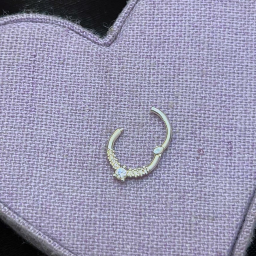 Piercing Articulado Argola Cravejada Frontal com Ponto de Luz Central 8mm